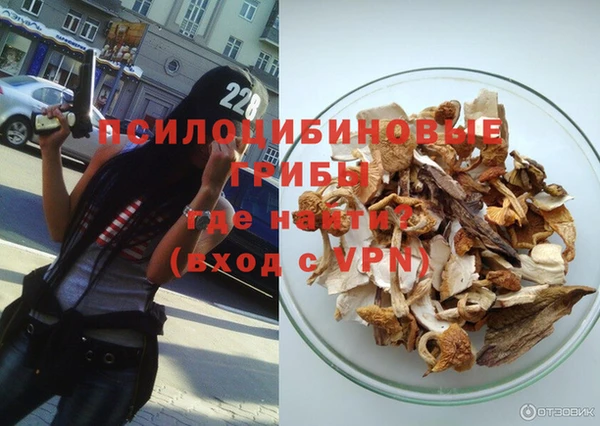 ALPHA PVP Мегион