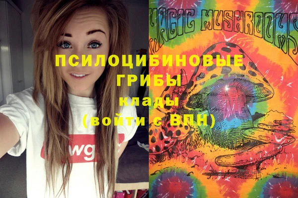 ALPHA PVP Мегион
